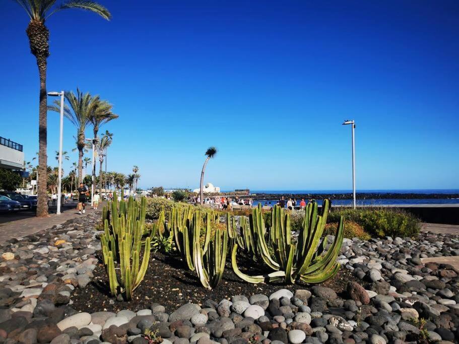 Estudio Ana Puerto de la Cruz (Tenerife) Exterior foto